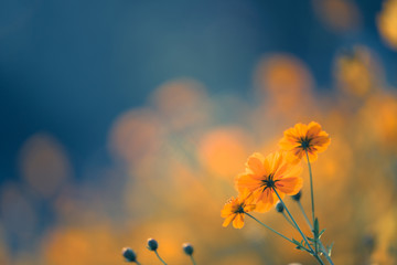 【东台本月天气,东台市天气】