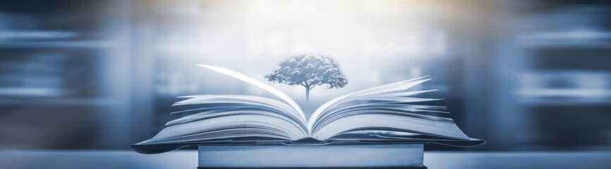 【高碑店明日天气,高碑店明天天气】