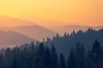 【路虎揽胜运动版注意事项,路虎揽胜运动版注意事项大全】