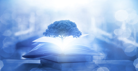 厦门大学国家专项录取分数线(厦门大学2020年高校专项计划录取分数线)