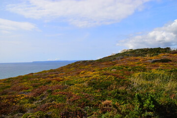 2017霍邱一中录取分数线(霍邱一中历年分数线)