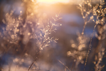 长治市高中录取分数线的简单介绍