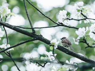 【现代菲斯塔油耗,北京现代菲斯塔油耗】