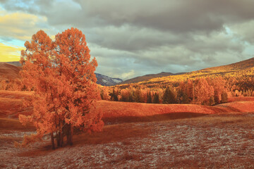 师大艺术类录取分数线/师范大学艺术录取分数线