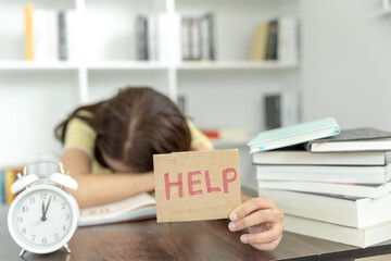 青海民院录取分数线/青海民族大学分数线2020年