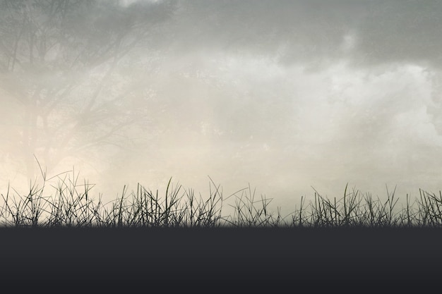 安国周末天气(安国市天气预)