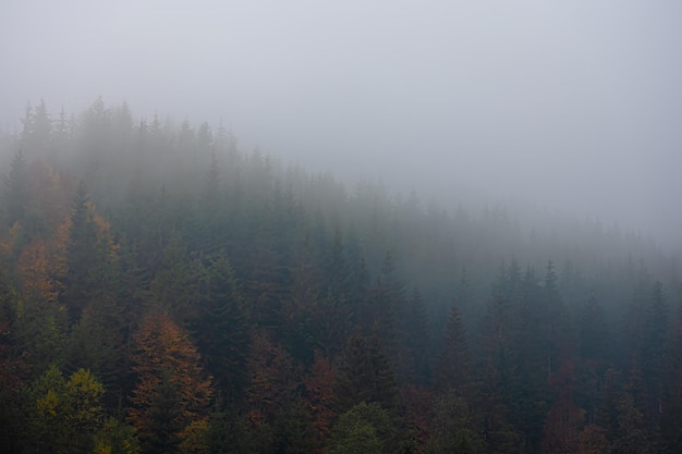 关于山西大学商务学院2016年录取分数线的信息