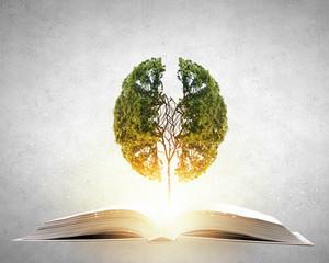 【理文科录取分数线,文理科录取分数线2020】