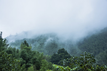 蒲县高中录取分数线/蒲县高中录取分数线是多少